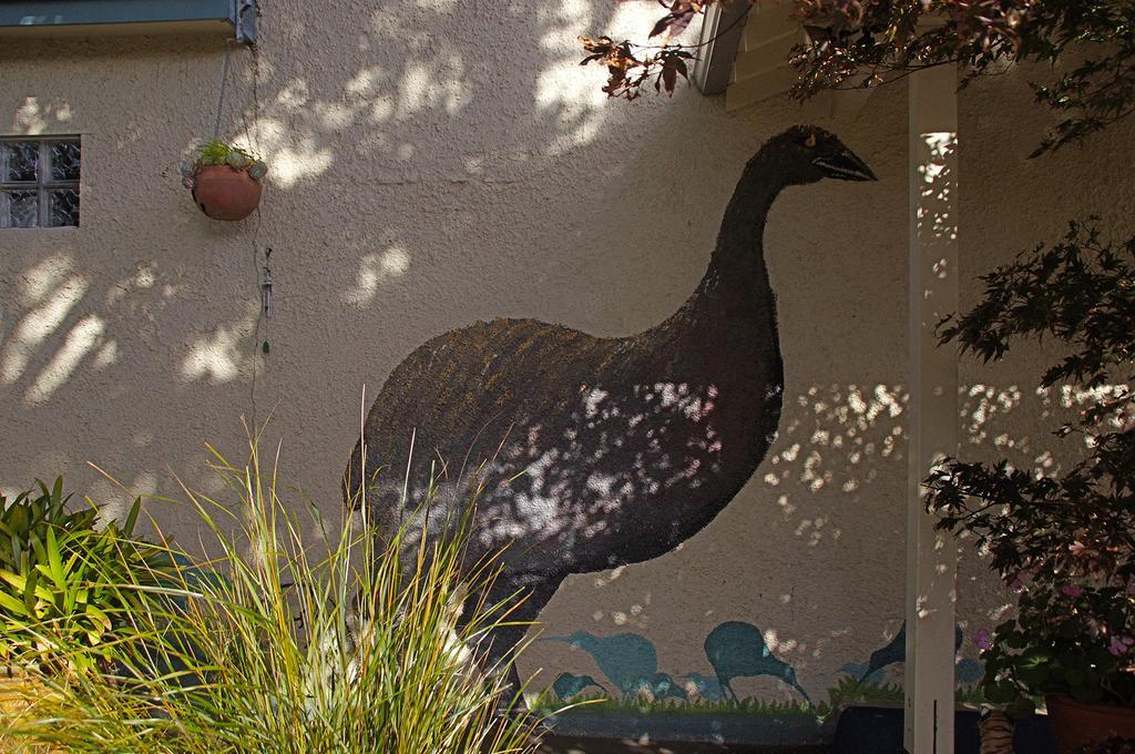 Arden Street House Bed & Breakfast Dunedin Exterior foto