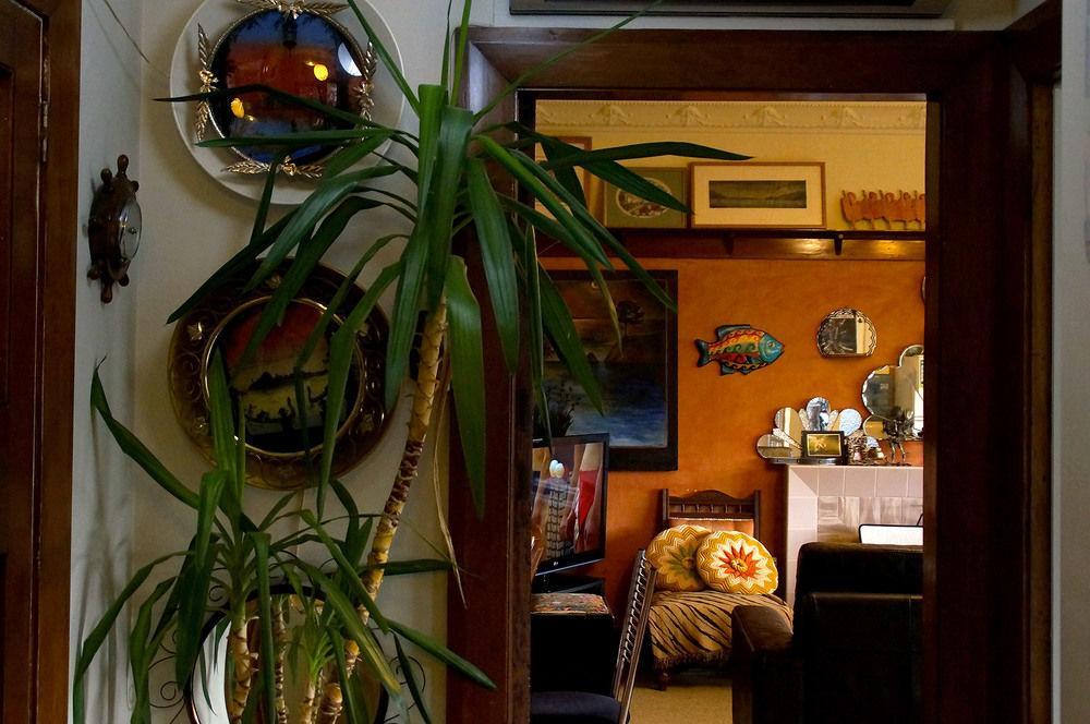 Arden Street House Bed & Breakfast Dunedin Exterior foto
