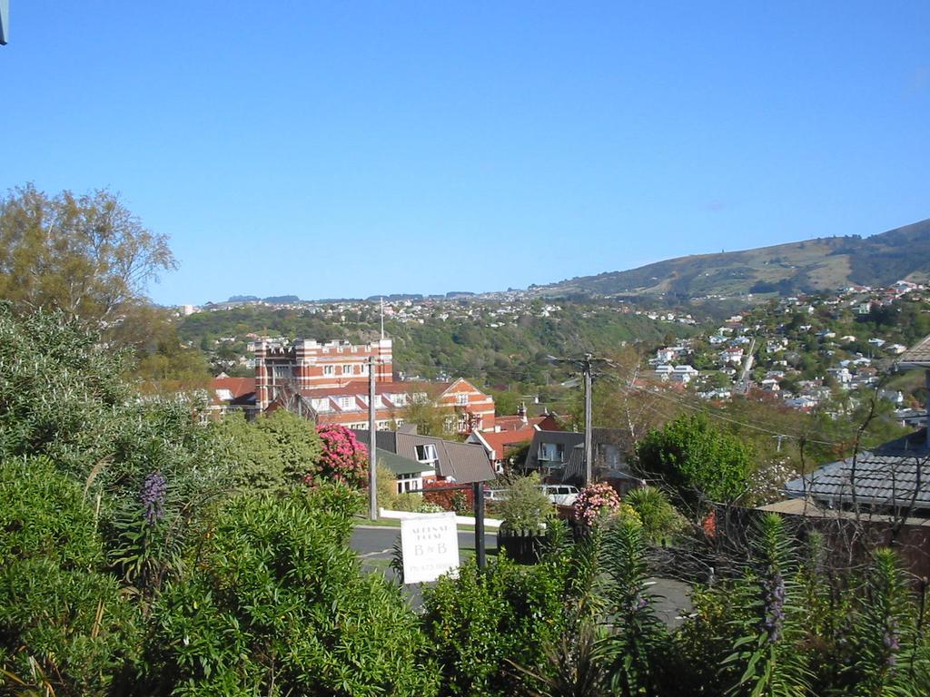 Arden Street House Bed & Breakfast Dunedin Exterior foto