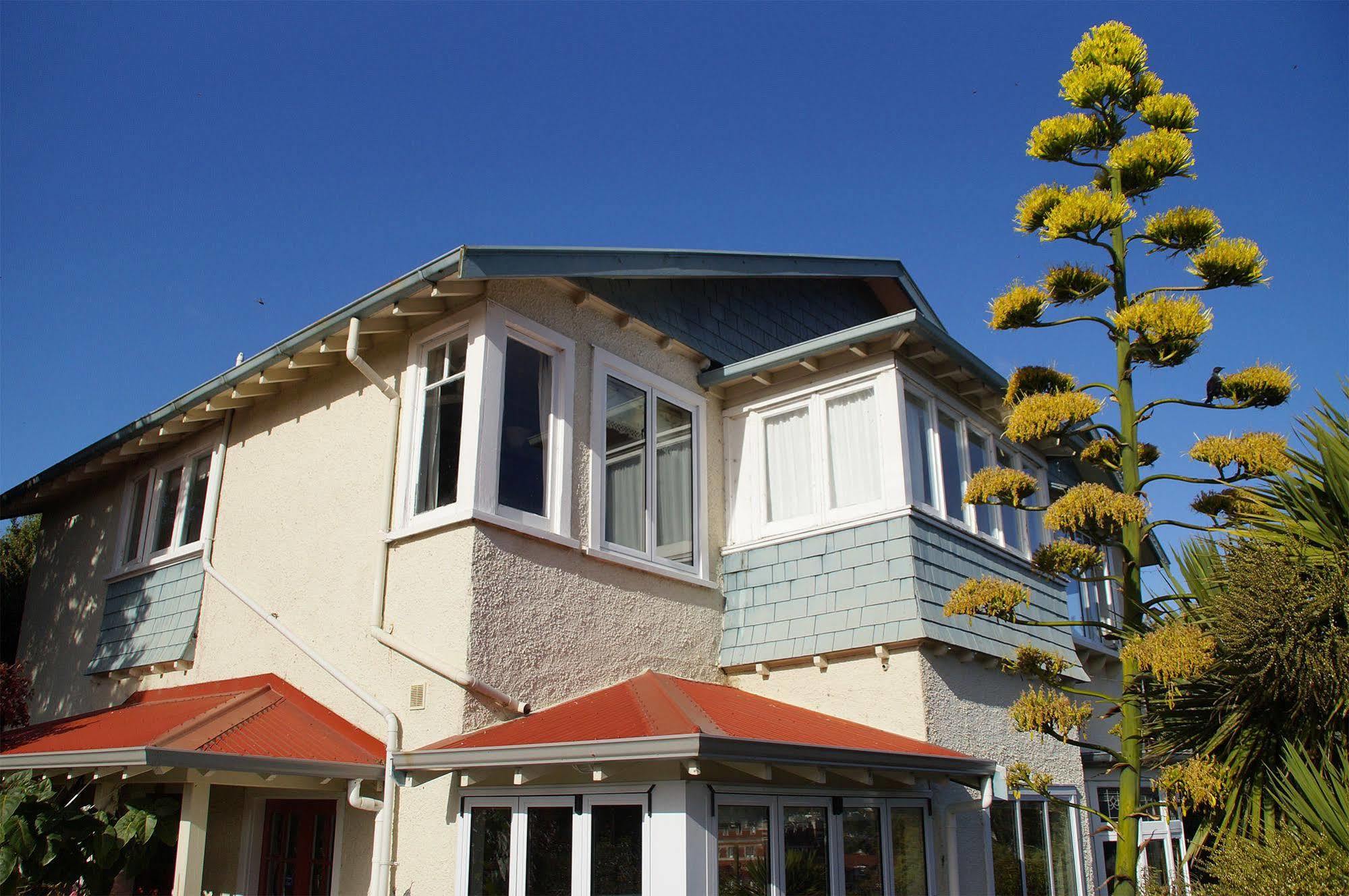 Arden Street House Bed & Breakfast Dunedin Exterior foto