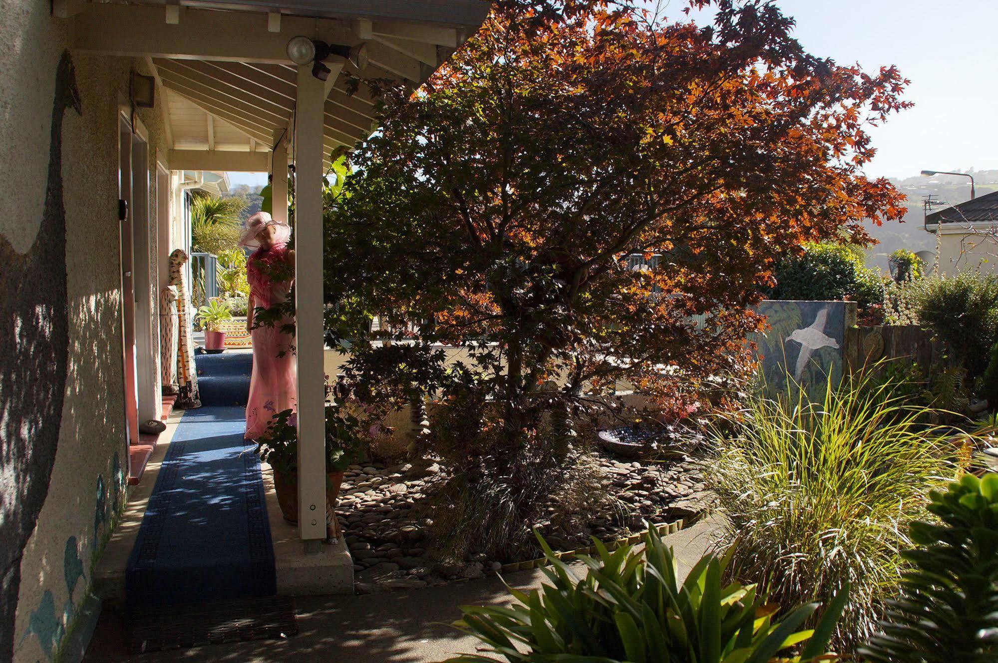 Arden Street House Bed & Breakfast Dunedin Exterior foto
